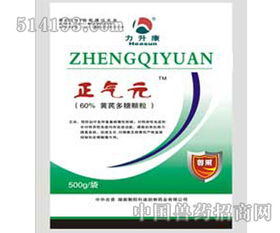 仔猪病毒性腹泻怎么办？治疗方案与用药大全